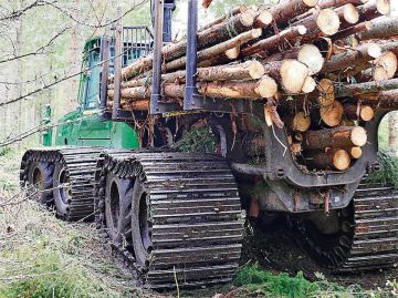 Metsäkoneisiin sovitetut kaivinkonetelat ovat uusinta uutta pehmeiden maiden puunkorjuussa. Kuva: Sami Karppinen