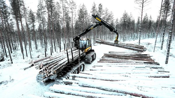 Jari Kauppinen purki kuormaa kaukokuljetusreitin päässä Karstulasssa viime viikolla. Kesällä tehty talvikulkuinen penkkatie lyhensi metsäkuljetusmatkan kilometristä 300 metriin. Jutun anonyymi lähde ei liity kuvan korjuuseen. (Kuvaaja: Sami Karppinen)