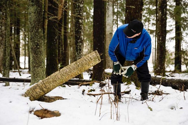 Kaakkois-Suomi on yksi Metso-suojelun tämän vuoden painopistealueista.
