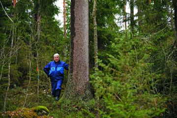 Matti Viialaisen metsästä löytyy monensorttisia kuvioita, myös vanhaa kuusikkoa. (Kuvaaja: Seppo Samuli)