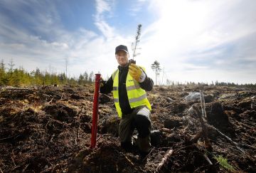 Istutustyöt ovat parhaillaan täydessä vauhdissa muun muassa Pieksämäellä, kertoo Metsä Groupin operaatioesimies Otto Rinkinen.  (Kuvaaja: Petteri Kivimäki)