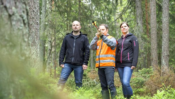 Mikko Kaamanen (kesk.) näyttää Rami Saariselle ja Sanna Nerville relaskoopin käyttöä. Relaskoopin avulla saa laskettua puuston pohjapinta-alan eli puiden rinnankorkeudelta mitattujen poikkileikkauspinta-alojen summan. (Kuvaaja: Seppo Samuli)