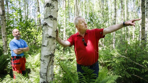 Juha Uotila (vas.) on sopinut Koskitukki Oy:n Heikki Nikkisen kanssa yhteensä 12 hehtaarin suuruisten koivikoiden ennakkoraivauksesta ja ensiharvennuksesta. Kuva: Seppo Samuli