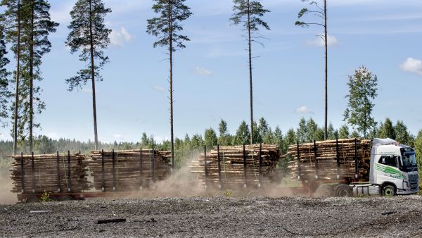 Orpe Kuljetus Oy:n HCT-yhdistelmä on noin yhden henkilöauton verran pidempi kuin tavallinen rekka. Kuva: Juha Metso