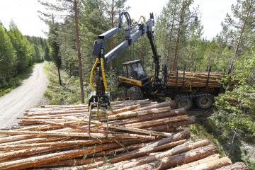 Metsätuholaki säätelee, milloin havupuutavara on kuljetettava pois metsästä. Metsäteollisuus ehdottaa, että sääntelystä luovuttaisiin männyn osalta. (Kuvaaja: Sami Karppinen)
