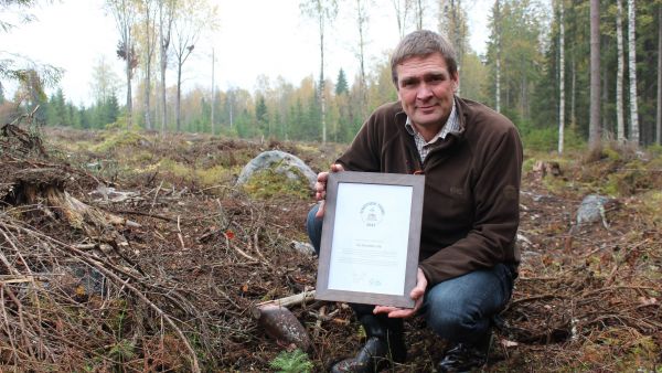 Henrik Andersson istutti FSC:n myöntämän Vastuun taimen Hämeenlinnassa hakkuualueelle, josta lähti ensimmäinen yrityksen FSC-sertifioitu puukuorma heinäkuussa. (Kuvaaja: FSCSuomi)
