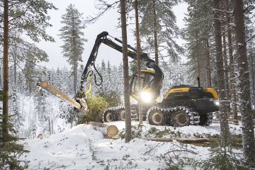 Tänä vuonna havupuiden kantohinnat olivat syksyyn tultaessa muutaman prosentin nousussa. Juuassa Pohjois-Karjalassa oli joulukuun puolessa välissä käynnissä männikön hakkuu. (Kuvaaja: Johanna Kokkola)