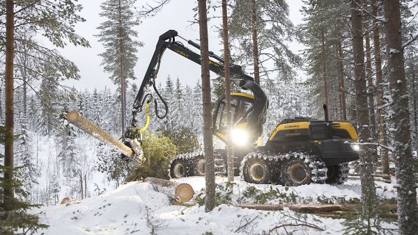 Tänä vuonna havupuiden kantohinnat olivat syksyyn tultaessa muutaman prosentin nousussa. Juuassa Pohjois-Karjalassa oli joulukuun puolessa välissä käynnissä männikön hakkuu. (Kuvaaja: Johanna Kokkola)