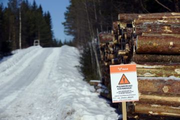 Monien muiden metsäyhtiöiden tapaan myös Metsä Group aikoo lisätä puunostojaan tänä vuonna. (Kuvaaja: Emmi Korhonen-Lehtikuva)