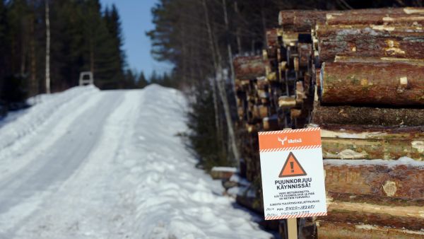 Monien muiden metsäyhtiöiden tapaan myös Metsä Group aikoo lisätä puunostojaan tänä vuonna. (Kuvaaja: Emmi Korhonen-Lehtikuva)