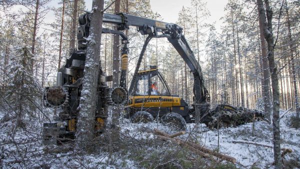 UPM:lle puuta korjaavan Metsäkuljetus Hyvärisen hakkuukone harventaa suometsää Vesannolla.  