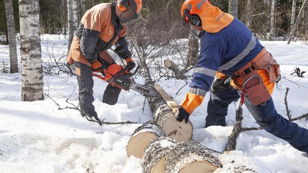 Hannu Niskanen (vasemmalla) kokeili uutta Echoa omakotitalonsa pihalla ja vaikuttui sahan tehosta.
