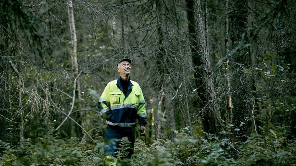 Jouni Mähönen teki puolentoista hehtaarin palstasta pysyvän Metso-suojelukohteen. Ratkaisuissa painoi sekä rahallinen korvaus että luontoarvojen säilyttäminen. (Kuvaaja: ANTTI J. LEINONEN)
