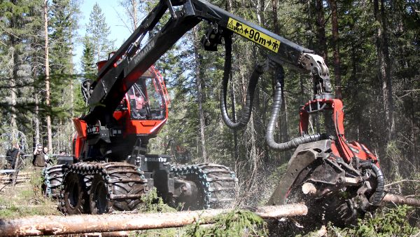  Hakkuukoneen kuljettajalta kannattaa varmistaa ennen puiden kaatoa, että kuskin saama korjuuohje vastaa puukaupassa sovittuja asioita.  Hakkuusopimukseen kannattaa kirjata, että konekuskin tekemästä koneen mittauslaitteen ja kantokäsittelyn omavalvonnasta tulee tieto metsänomistajalle. (Kuvaaja: Valtteri Skyttä)