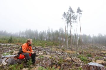 Metsätilamarkkinoiden kuumeneminen on saanut Timo Huhtalan lykkäämään tilaostoja tulevaisuuteen. 