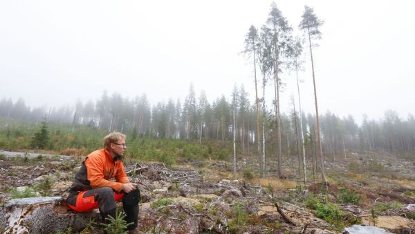 Metsätilamarkkinoiden kuumeneminen on saanut Timo Huhtalan lykkäämään tilaostoja tulevaisuuteen. 