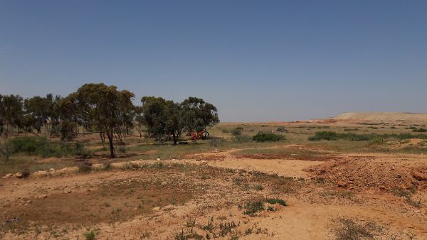Keski-Marokossa otetun kuvan oikealla puolella näkyy vuohien laiduntamaa aluetta ja vasemmalla puolella 20 vuotta sitten istutettua vartioitua metsää. (Kuvaaja: Jyri Maunuksela)
