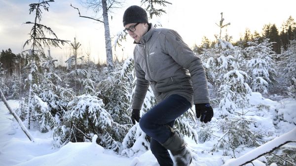 Parin vuoden ajan metsää omistaneen Antti Leinon mielessä kutkuttelee ainakin polttopuiden teko metsästä keväisenä viikonloppuna. Kiireiselle yritysjohtajalle on tärkeää, että omaan metsään voi poiketa kotimatkalla. (Kuvaaja: Juha Sinisalo                   )