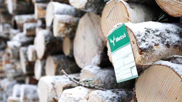 Metsäyhtiöt palkitsevat myyjät sitä runsaammilla bonuksilla, mitä enemmän puuta kertyy myytäväksi. (Kuvaaja: Sami Karppinen)