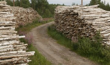 Tie nostaa puusta maksettavaa hintaa useilla euroilla kuutiolta. (Kuvaaja: Antero Aaltonen)