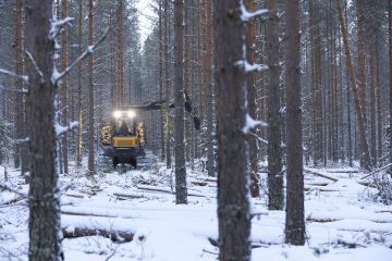 Talviharvennukset saa osassa Suomea paremmin kaupaksi, jos mukana on myös päätehakkuuta. (Kuvaaja: Sami Karppinen)