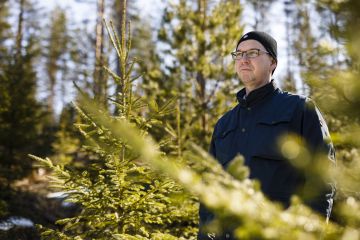 Metsäomaisuuden kartuttamisen perusta on hyvä suhde pankkiin, Timo Hannonen arvioi. (Kuvaaja: Seppo Samuli)