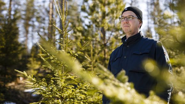 Metsäomaisuuden kartuttamisen perusta on hyvä suhde pankkiin, Timo Hannonen arvioi. (Kuvaaja: Seppo Samuli)