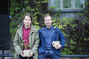 Santeri Muukkosen ja jan-Erik Antinluoman puupakettien avulla puun kasvatus onnistuu vaikka yksiössä. Tammet (vas.) ja hevoskastanja ovat ehtineet kasvaa alkuvuoden aikana siemenistä pieniksi taimiksi. (Kuvaaja: Else Kyhälä)