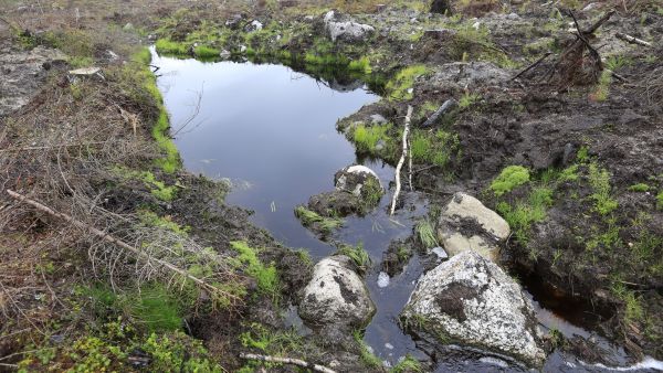 Vesiensuojelutoimenpiteet oli huomioitu maanmuokkauksen yhteydessä vuonna 2018 edellisvuotta heikommin.  (Kuvaaja: Sami Karppinen)
