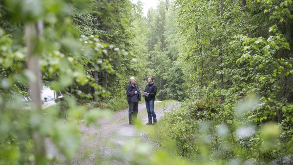 Alle 40-vuotiaiden metsänomistajien arvoissa korostuvat edellistä sukupolvea useammin taloudellisen tuloksen ohella luonnon monimuotoisuuden lisääminen ja ympäristöasiat. Nuoret hakevat aktiivisesti metsiin liittyvää tietoa muun muassa metsäammattilaisilta ja alan lehdistä. (Kuvaaja: Sami Karppinen)