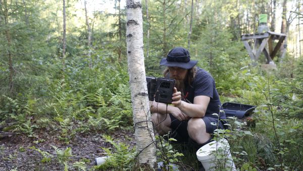 Janne Juvonen käy tarkistamassa riistakameroiden muistikortit joka viikko. Kameroiden lähettävän tekniikan hän on kokenut epävarmaksi. (Kuvaaja: Sami Karppinen)