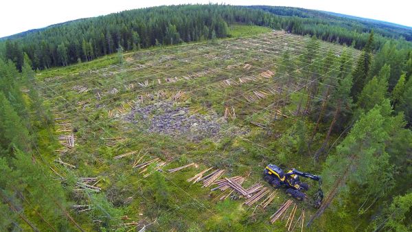 Täsmämetsänhoidossa uudistusalaa kuvaavia tietoja yhdistellään mahdollisimman monista lähteistä. Hakkuukoneet keräävät puustotietoja sivuiltaan 16 metriä olevilta ruuduilta. Taustatietona käytetään Maanmittauslaitoksen ja Suomen metsäkeskuksen tekemää maastonkorkeusmallia, Geologisen tutkimuskeskuksen maalaji- ja maaperäkarttoja sekä Luken kosteusindeksiä ja kiintoaine- ja ravinnekuormituksen analyysejä. (Kuvaaja: Sami Karppinen)