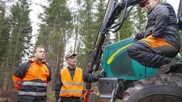 Metsäenergia-asiantuntija Valtteri Katunpää ja metsänomistaja Ari Mäkitalo ovat tyytyväisiä näkemäänsä. Yrittäjä Tapio Siekkisen tiheikkösavotta alkaa olla valmis. (Kuvaaja: Mikko Riikilä)