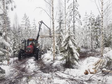 Pekka Kauppinen ajoi koivukuitupuuta naapurimetsänomistajan hankintasavotalta Kivijärvellä viime viikolla. Lunta oli maastossa parikymmentä senttiä, mutta maa ei ollut juuri jäässä. (Kuva: Sami Karppinen)