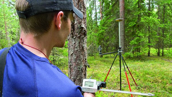 Metsäinventointia tekee vuosittain maastossa 22 työparia. Inventoinnin yhteyteen suunniteltu kasvilajikartoitus toisi puustotietojen oheen lisää tietoa metsäluonnosta. (Kuvaaja: Erkki Oksanen Luke)
