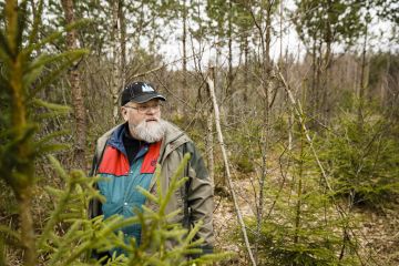 Pertti Pajusella on metsäammattilaisena yli 30 vuoden kokemus Suomusjärven alueen metsistä. Hän on jo moneen otteeseen ehtinyt turhautua hirvien vaikutuksiin puustossa, sillä hirvikannan säätelystä ei tunnuta saavan aikaiseksi järkevää ja tasapuolista keskustelua. (Kuvaaja: Seppo Samuli)
