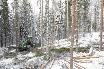 Moni talvikorjuuleimikko on jäänyt tänä talvena Etelä-Suomessa korjaamatta.  (Kuvaaja: Sami Karppinen)