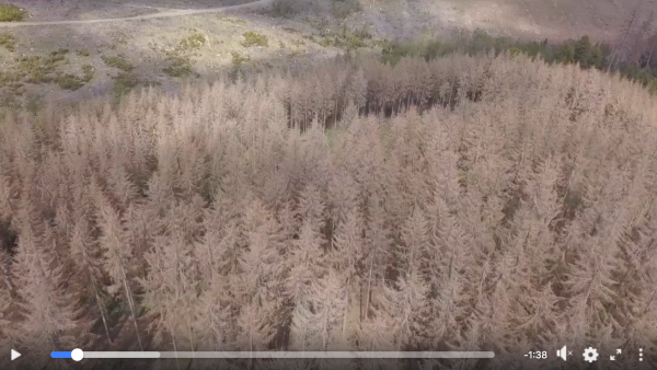 Kuvakaappaus videosta kertoo omaa ankeaa kieltään Saksan metsätuhojen laajuudesta. (Lähde: Regionalforstamt Soest-Sauerland)