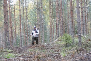 Metsä-Multia Oy:n asiakkuuspäällikkö Pasi Niemelä mittaa ajouran leveyttä elokuussa hakatulla harvennusleimikolla. Niemelän mukaan jokaiselta yrityksen koneketjulta tarkastetaan vuosittain useita kohteita asiakkaan vaatimusten mukaan.   (Kuvaaja: Sami Karppinen)
