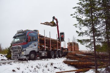 Ensimmäistä Stora Enson Oulun tehtaan uuteen kartonkituotantoon menevää puukuormaa lastattiin tänään Oulussa harvennushakkuukohteella. (Kuva: Stora EnsoMartu Väisänen)  