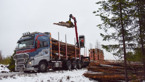 Ensimmäistä Stora Enson Oulun tehtaan uuteen kartonkituotantoon menevää puukuormaa lastattiin tänään Oulussa harvennushakkuukohteella. (Kuva: Stora EnsoMartu Väisänen)  