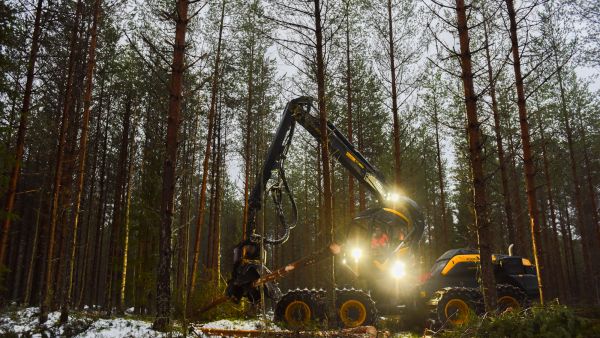 H.A. Forest Oy:n kuljettaja Henri Kemppainen korjasi ensimmäistä tehtaalle menevää puukuormaa viime viikolla.