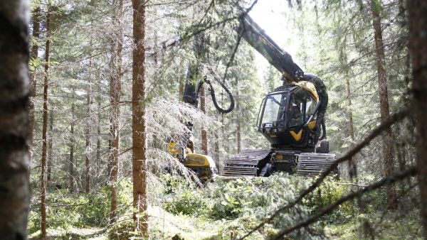 Ensi vuonna hakkuukoneista lähetetään metsävaratietoja suoraan Metsäkeskukselle. (Kuvaaja: Sami Karppinen)