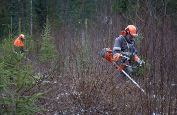 Metsäpalvelutyönantajat ry:n tavoitteena on, että kolmannes metsureista olisi yhdistyksen jäsenyritysten palkkalistoilla.