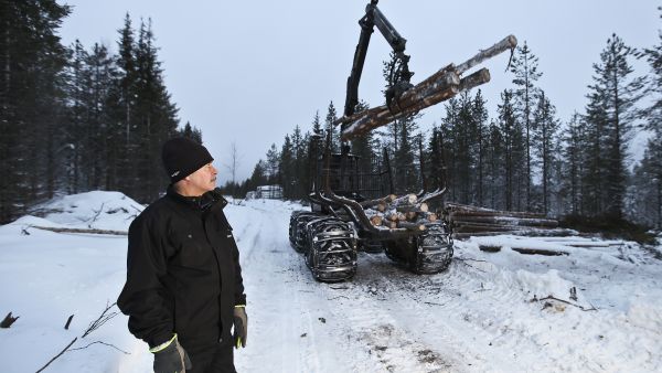 Sodankylässä talvitien tekoon päästiin vasta joulukuussa, kertoo metsäasiantuntija Pekka Kasurinen. Joulukuun lopulla lunta oli kolmekymmentä senttiä, pakkasta viisi astetta ja puut saatiin liikkeelle talvitien takaa. (Kuvaaja: Tuula Lampela)