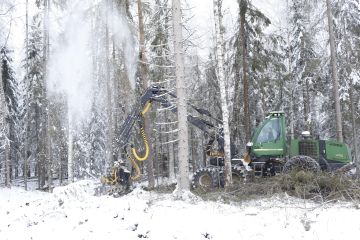 Kaksi kolmasosaa tukkisaannon erosta tulee puun tyven katkonnasta, arvioi MTK:n kenttäpäällikkö Pauli Rintala. (Kuvaaja: Sami Karppinen)
