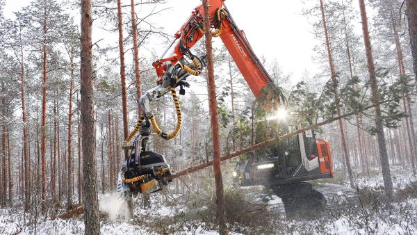Puunhintojen puuttumista selittää, että Stora Enson ostoalue ei yllä Länsi-Suomeen eikä UPM:n Lappiin. Tässä korjataan puuta Lapualla. (Kuvaaja: Sami Karppinen)