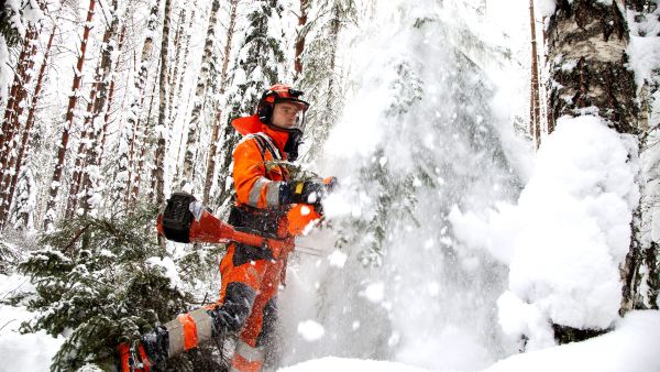 Metsuri Pentti Rossilla riittää talvikaudeksi raivattavaa, koska lumikelillä metsässä viihtyviä tekijöitä on vähän. (Kuvaaja: Mikko Riikilä)