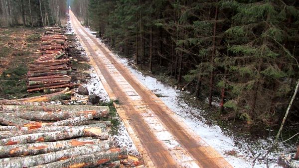 CLT-levyjä käytetään puunkorjuun apuna muun muassa Latviassa. Levyjen pitää kestää useampi käyttökerta parhaimmillaan 40 tonnin painoisen puunajokoneen alla. (Kuvaaja: Ilga Brzkalna)