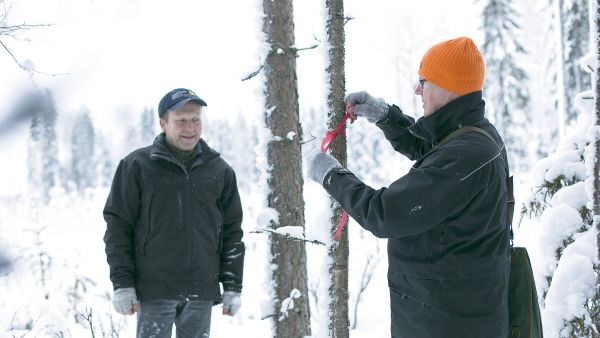Metsänhoitoyhdistykset ovat jäsenmaksutuloillaan rahoittaneet metsänomistajille muun muassa maksuttomia tilakäyntejä. Pekka Viljakainen (oikealla) opasti taannoin Jorma Kauppista. (Kuvaaja: Sami Karppinen)